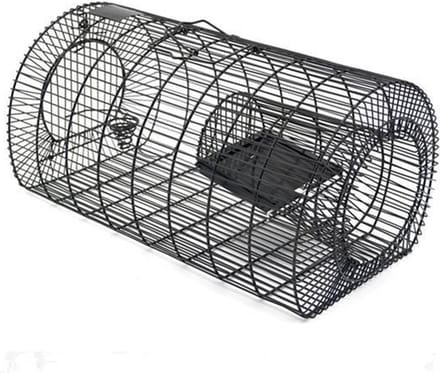 Vangkooi voor meerdere ratten Vangt meerdere ratten in een setting
