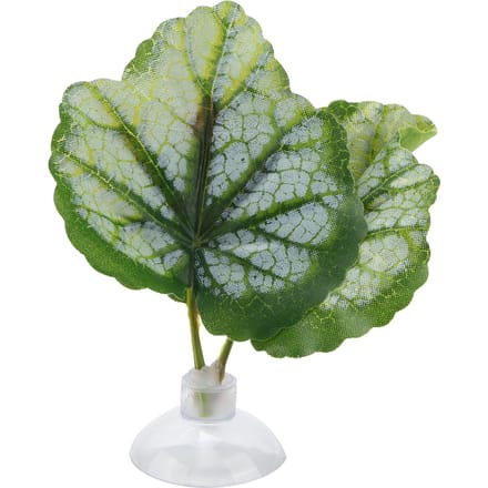 Betta Blad Hangmat Groen Aquarium Ornamentale Betta Rustplaats Paaibed Vissenkom Benodigdheden beige