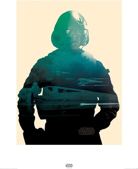 Star Wars Episode VII Poe Tri Art Print 60x80cm | Poster