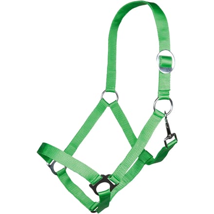 Halster voor paarden HKM Stars Economy