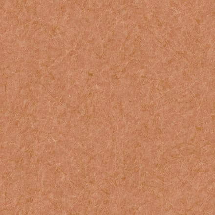 Dutch Wallcoverings - Tapestry Linen Plain Orange - TP422904