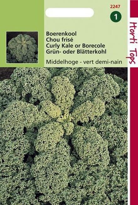 Hortitops Zaden - Boerenkool Vert Demi-Nain / Middelhoge Fijne Krul