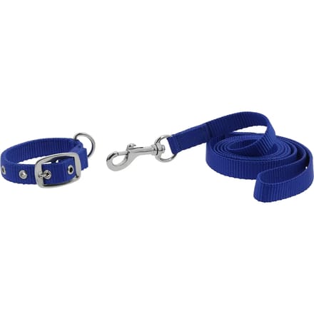 Halsband en lijn voor hond Riding World Oscar