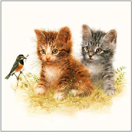 Ambiente Servetten Kitten Friend 33 x 33 CM