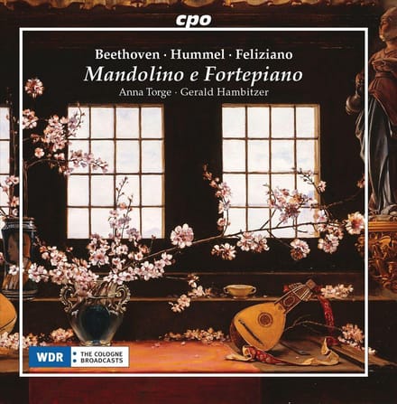 Mandolino E Fortepiano - J.n. Hummel
