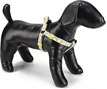 Beeztees nylon borsttuig lemon lichtgrijs 46-75 cm x 20 mm