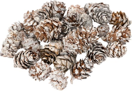 Decoris Kleine decoratie dennenappeltjes - 90 gram - bruin - 1,5-2 cm