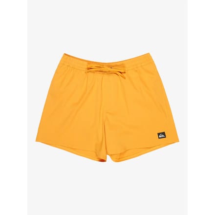 Surf shorts Quiksilver Everyday Flex Volley 15"