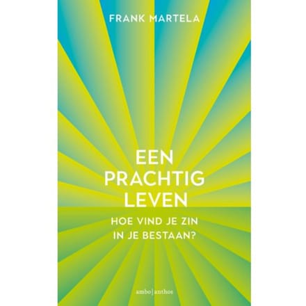 Een Prachtig Leven - Frank Martela