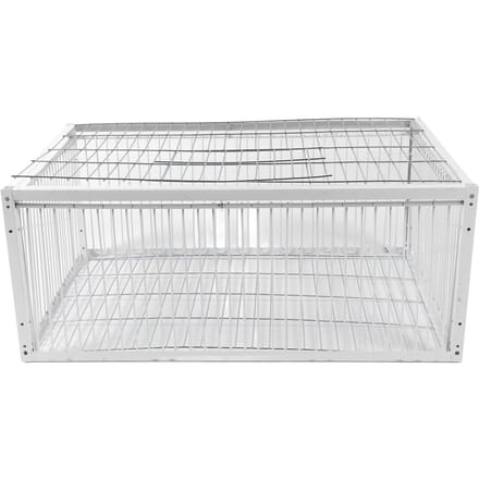 Cage Piège à Oiseaux Entrée Simple Robuste Résistant à la Rouille Polyvalent Portable Anti-Évasion Piège à Animaux M(59cm / 23.2in Long) white