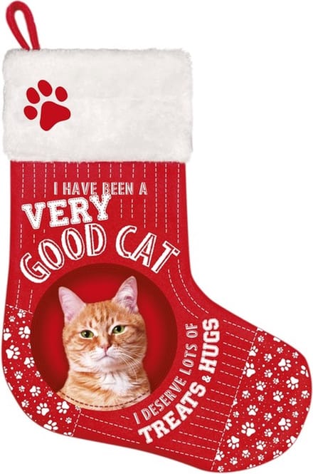 Kerst stocking Kat Rood
