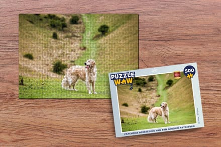 Puzzel Prachtige afbeelding van een Golden Retriever - Legpuzzel - Puzzel 500 stukjes