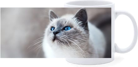 Beker - Poes Licht met Blauwe Ogen