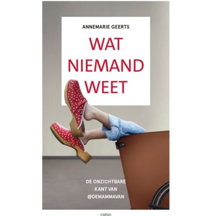 Wat Niemand Weet - Annemarie Geerts