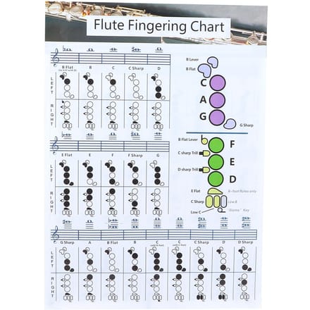 Fluit Vingerzetting Akkoorddiagram Beginner Student Oefening Lesmateriaal Instrument gray