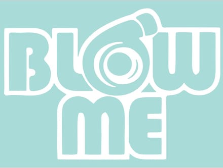 Grappige auto - raam sticker blow me