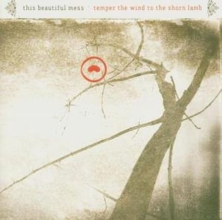 This Beautiful Mess - Temper The Wind To The Shorn Land (CD)