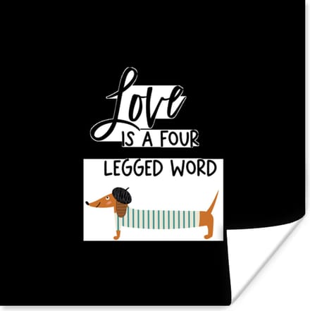Poster Quotes - Hond - Spreuken - Love is a four legged word - 75x75 cm