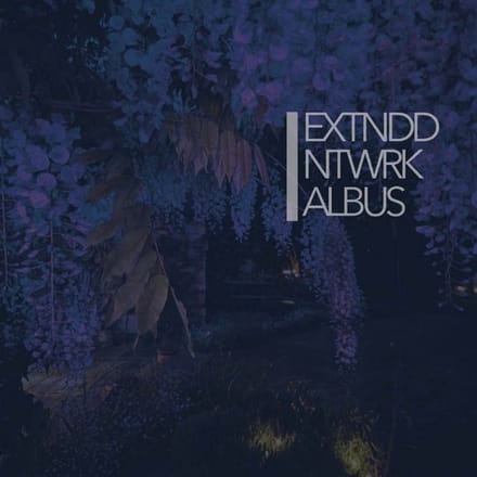 Extnddntwrk - Albus (2 LP)