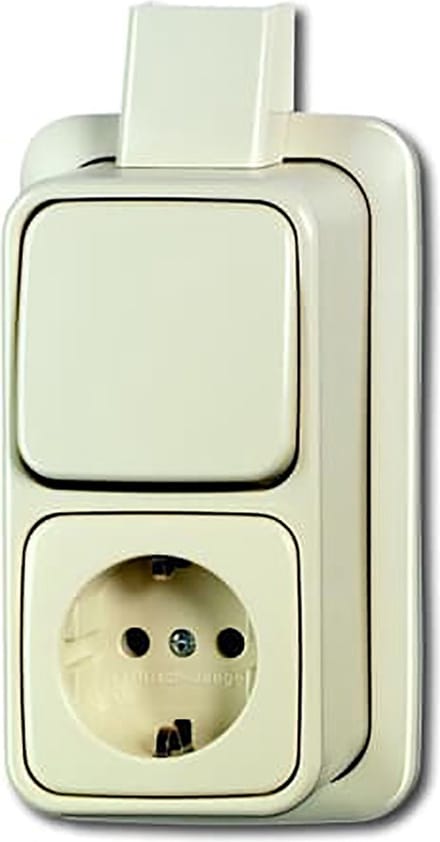 ABB Busch-Jaeger Combinatieschakelaar Stopcontact - 2CKA001641A0233 - E3J9D