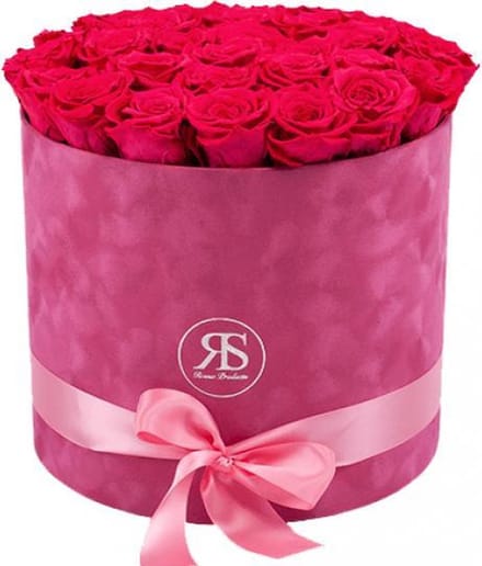 Flowerbox Longlife Suzy donker roze