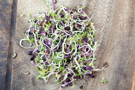 Buzzy® Organic Spruitgroente Pikante Salade in glazen pot