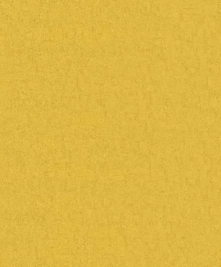 BN Wallcoverings Van Gogh 2 220077