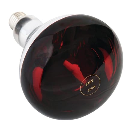 Warmtelamp E27 ES 250W
