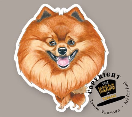 Magneet Hond Kleinspitz