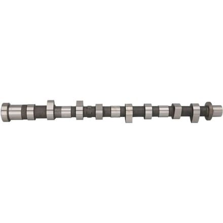 Nokkenas  AE CAM943