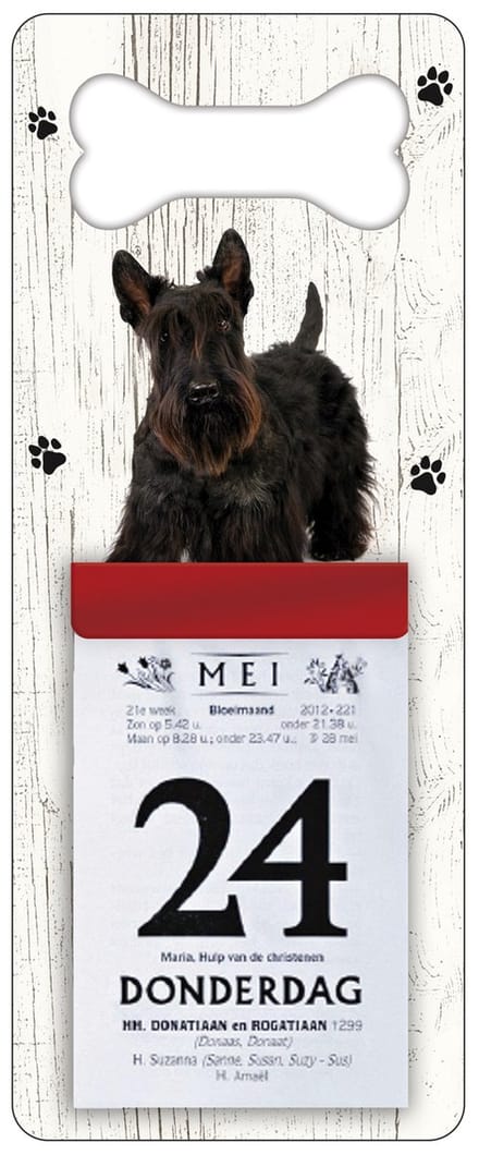 Scheurkalender 2027 Hond: Schotse Terriër