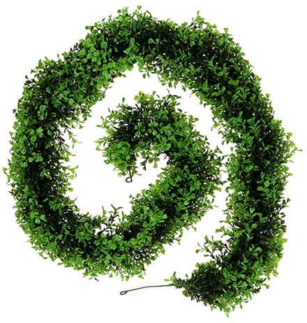 Buxus Slinger Groen L170cm