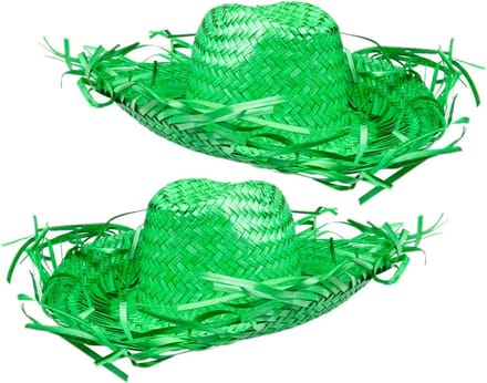 Set van 2x stuks groene Tropische Hawaii thema strohoed met grote rand - Dames hoed