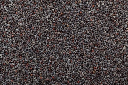 Blauwe maanzaad- Maanzaad blauw- Voer voor vogels- Visvoer- Maanzaad- 2 kilo