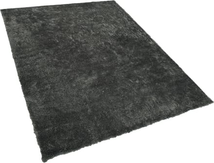 EVREN - Shaggy vloerkleed - Donkergrijs - 200 x 300 cm - Polyester