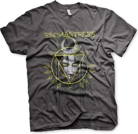 DC Comics Suicide Squad Heren Tshirt -S- Enchantress Grijs