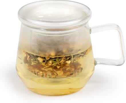Bredemeijer - Tea for one - theeglas met filter Livorno 290ml- theezeef