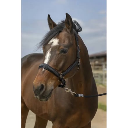 Nylon strass halster Equithème
