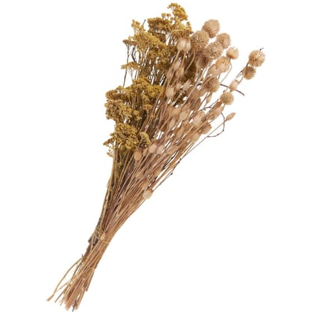 Gedroogde bloemen set "Distel"
