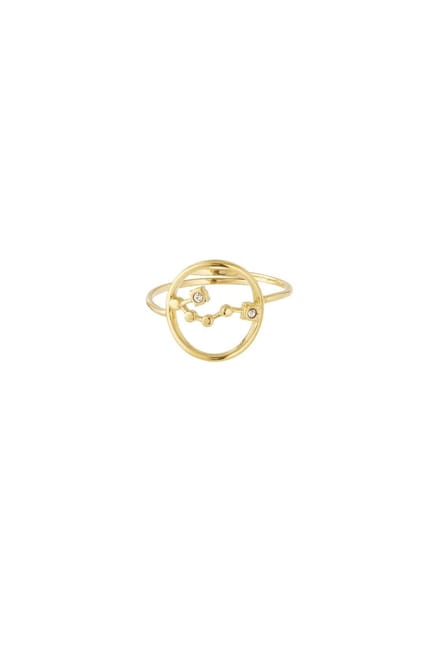 12 zodiac-ringen - Goudkleur