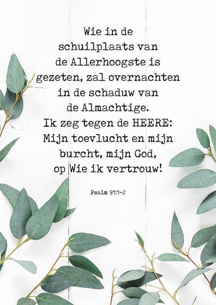 10 stuks Wie in de schuilplaats| Christelijke kaart met envelop| Majestically