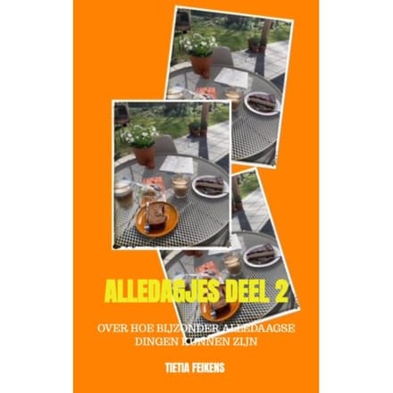 Alledagjes Deel 2 - Tietia Feikens