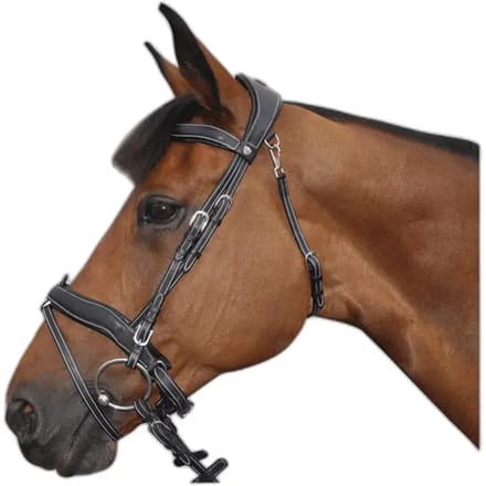 Gecombineerde hoofdstellen Flags&Cup Comfort