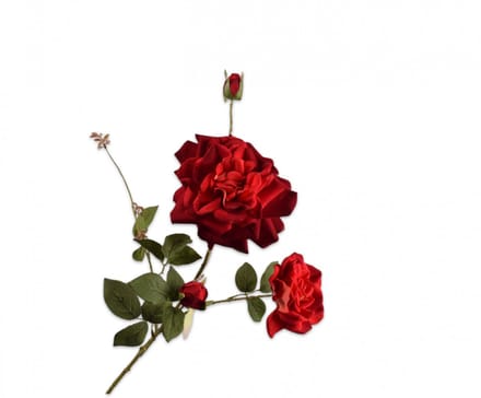 Roos tak rood 102 cm