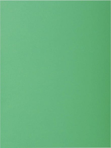 Exacompta ROCK''S 80 - Pak van 100 inlegmappen 22x31cm voor A4 - Dennengroen - 800004E