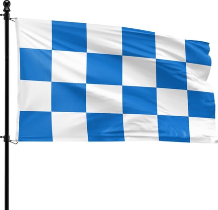 VlagDirect - Dalfsen vlag - Gemeente Dalfsen vlag - 90 x 150 cm.