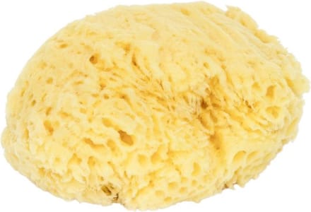 D&L Natuurspons Gebleekt - XS