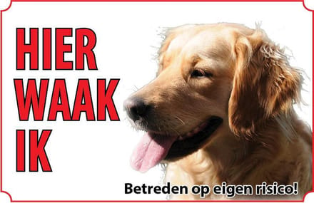 Bord - Hond Golden Retriever