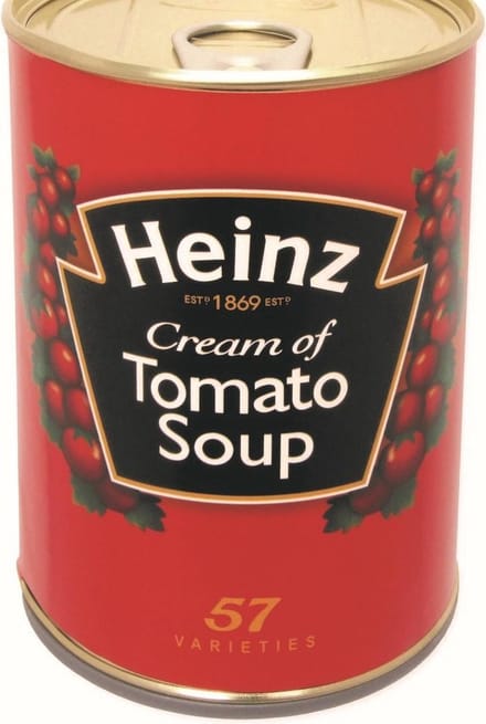 Kameleon geheime kluis  - Blik Heinz tomatensoep