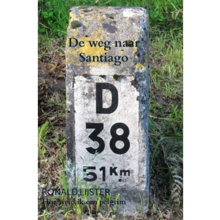 De Weg Naar Santiago - Ronald Lijster